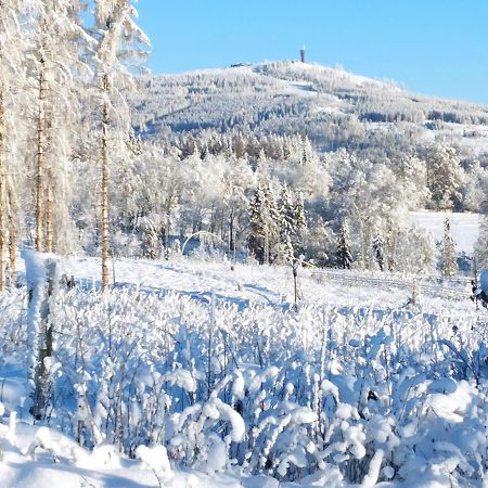 Harzpension Haus Koenigskopf Braunlage Bagian luar foto