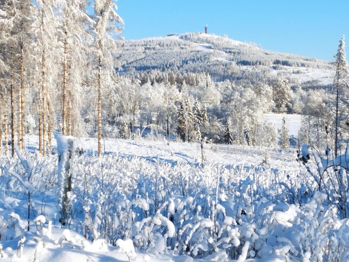 Harzpension Haus Koenigskopf Braunlage Bagian luar foto