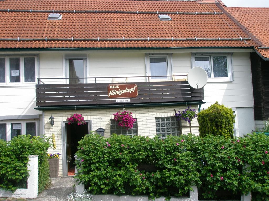 Harzpension Haus Koenigskopf Braunlage Bagian luar foto