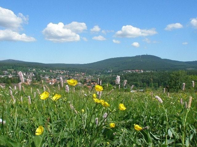 Harzpension Haus Koenigskopf Braunlage Bagian luar foto